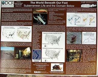  The World Beneath Our Feet - Product Image