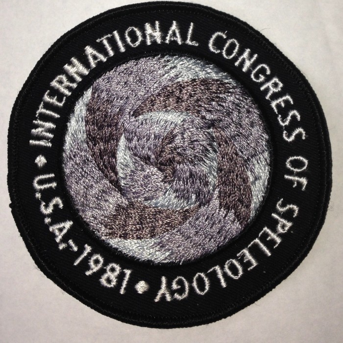 1981 ICS Patch