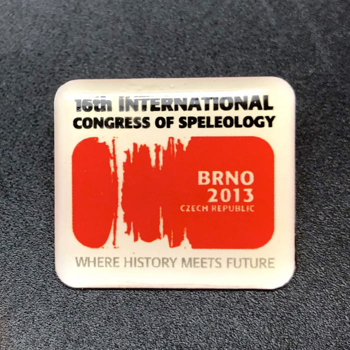16ICSBrno2013Pin