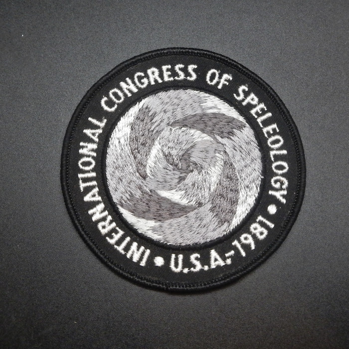 1981ICSPatch