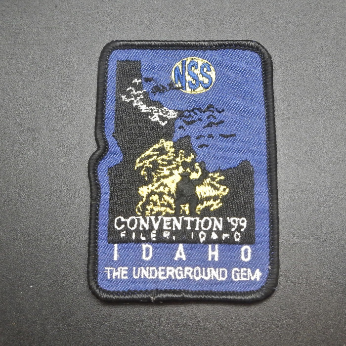 1999NSSConventionFilerIDPatchorpin