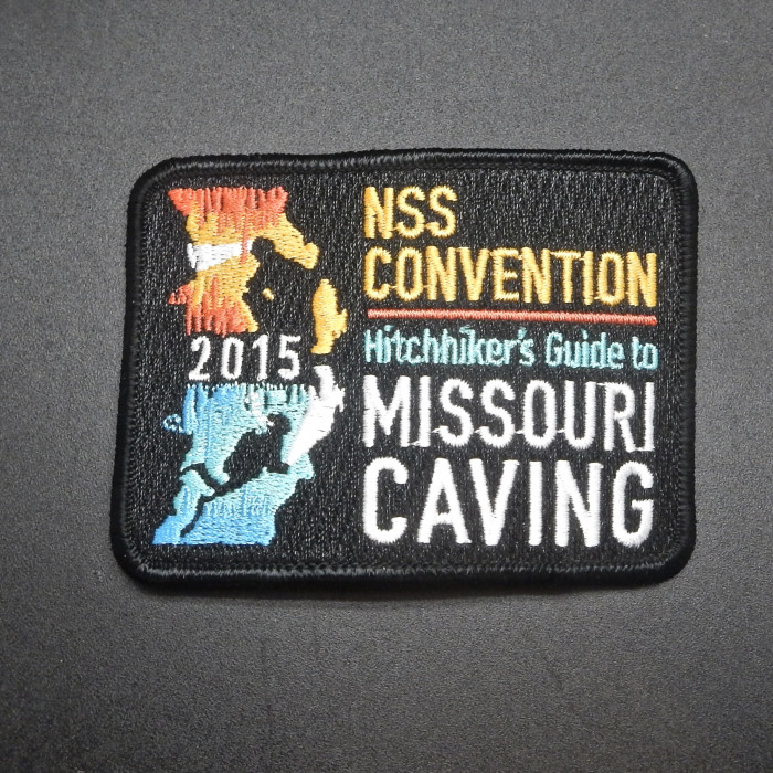 2015 NSS Convention Missouri Pin - Product Image
