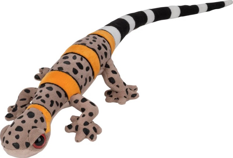 44 inch Vietnamese Cave Gecko - Featured Price - Product Image