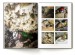 Lechuguilla Cave Discoveries in a Hidden Splendor
