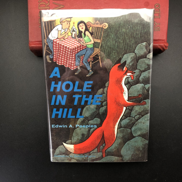 A Hole in the Hill  - Product Image