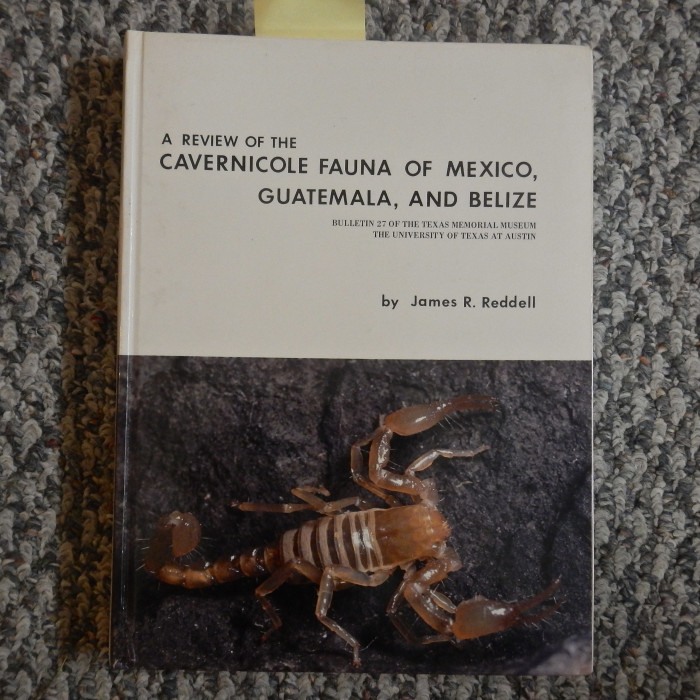 A Review Of The Caverinicole Fauna Of Mexico, Guatemala, And Belize- SOLD - Product Image