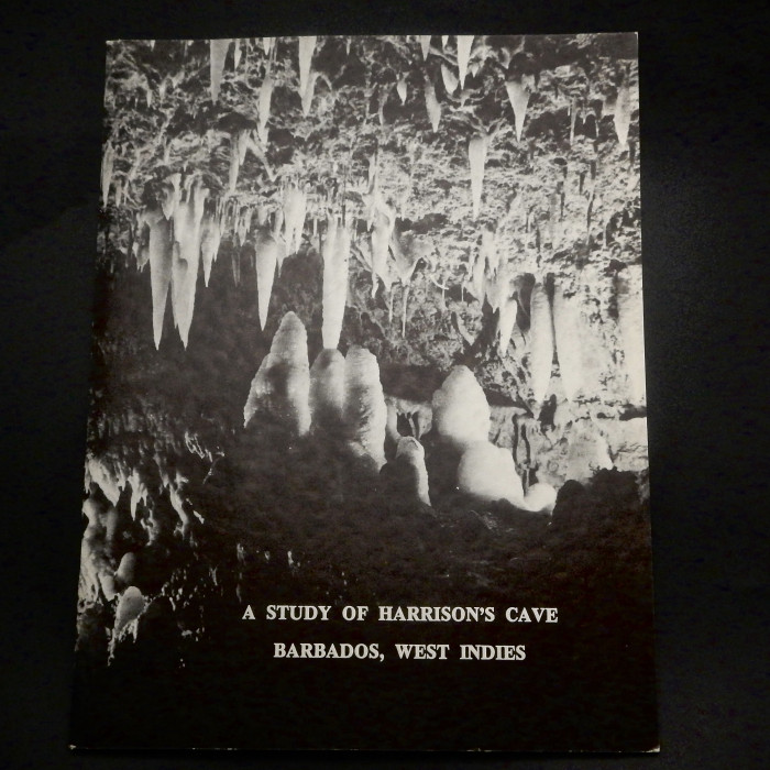 A Study of Harrison's Cave Barbados, West Indies - Product Image