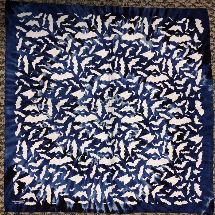 AlbinoBatsBlueSpiralTieDyeBandanna