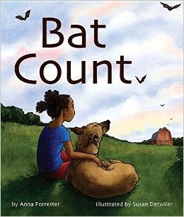 BatCountACitizenScienceStory