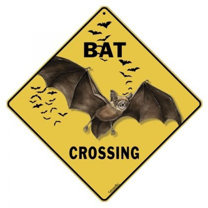 BatCrossingSign