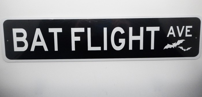 Bat Flight Ave Street Sign - Product Image