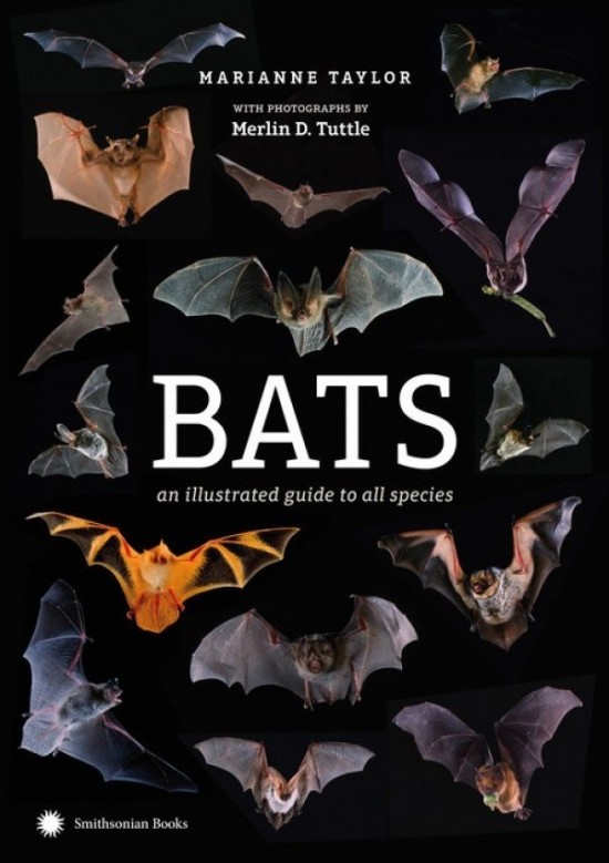 Bats: An Illustrated Guide to All Species - Product Image