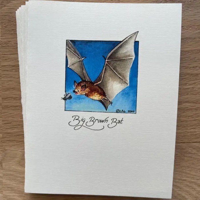 BigBrownBatAcrylicAndPenDrawingNotecard