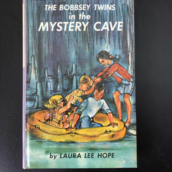 Bobbsey Twins in the Mystery Cave