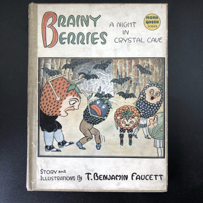 Brainy Berries; A night in Crystal Cave - Product Image