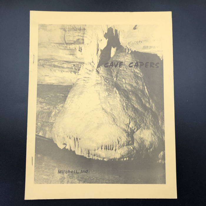 Cave Capers 1982 SOLD - Product Image