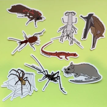 Cave Life Die Cut Stickers - Product Image