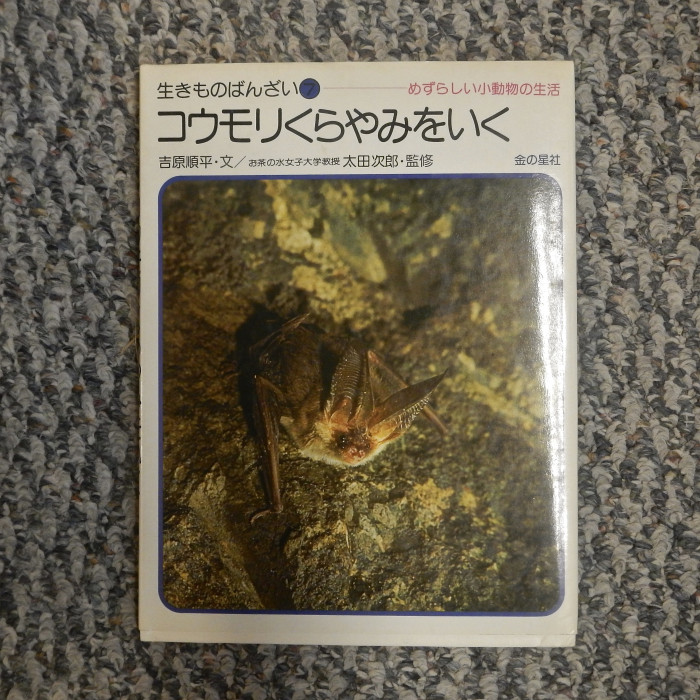 CaveLifeandOtherWildlifeInJapanese