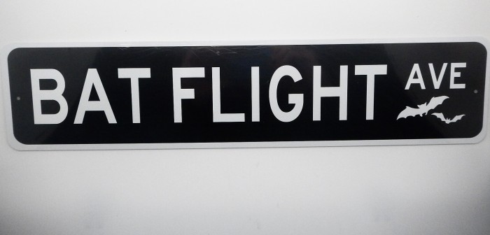Bat Flight Ave Sign - Product Image