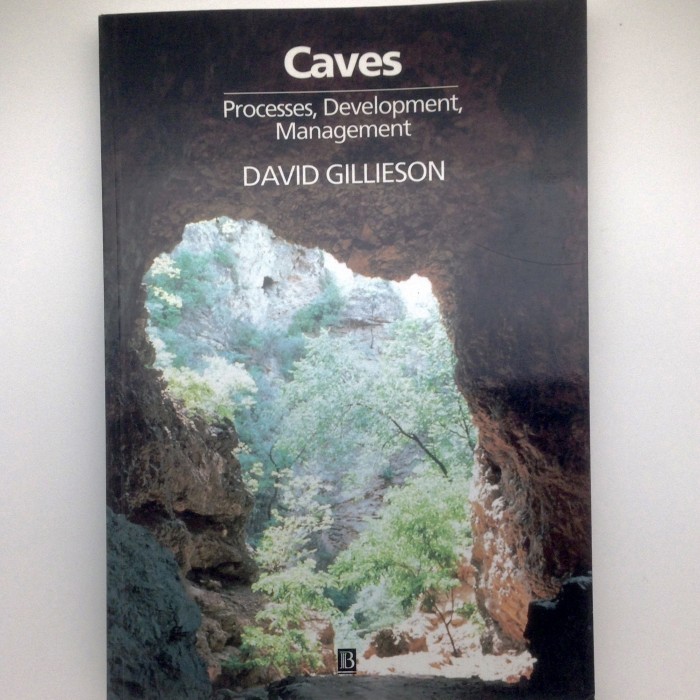 Caves Processes, Development, Management - Product Image
