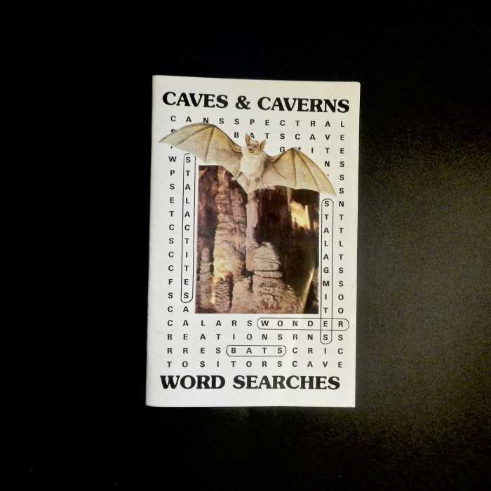 Caves and Caverns Word Searches - Product Image