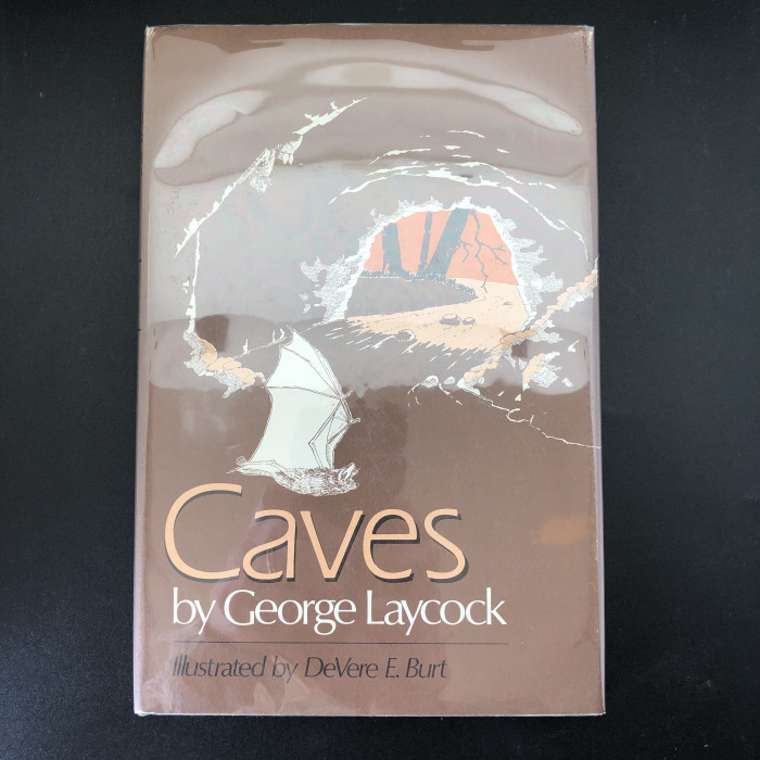 CavesbyGeorgeLaycock