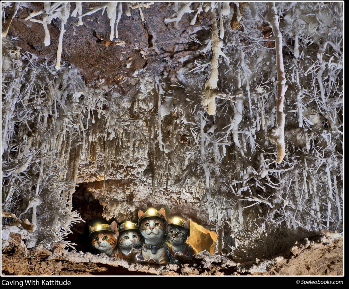 Caving With Kattitude 504 Piece Jigsaw Puzzle (16 X 20 inches)