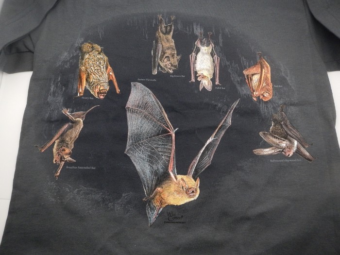 NorthAmericanBatsHangingAroundYouthTeeShirt
