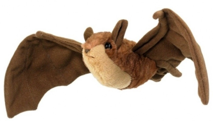 Conservation Critters Little Brown Bat - Product Image