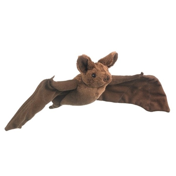 ConservationCrittersMexicanFree-TailedBat