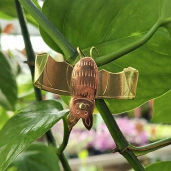 Count Bat'ula Stem Charm - Product Image