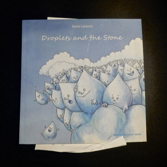 Droplets and the stone - Product Image