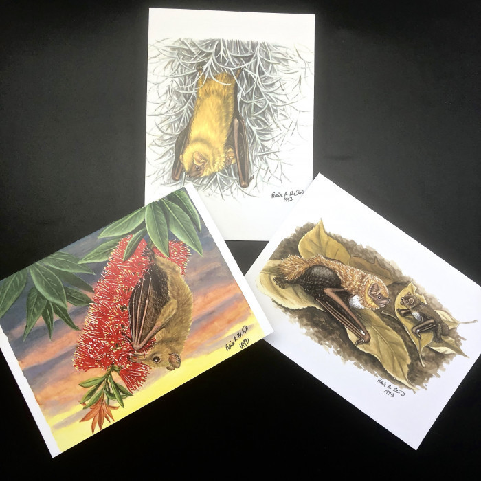 Fiona Reid Bat Art Note Cards New Releases - Product Image