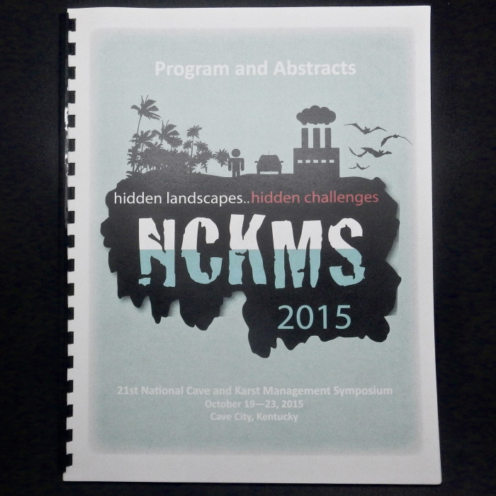 Hidden Landscapes... Hidden Challenges, NCKMS 2015, program and abstracts - Product Image