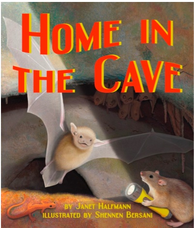 Home In the Cave Paperback  - Product Image