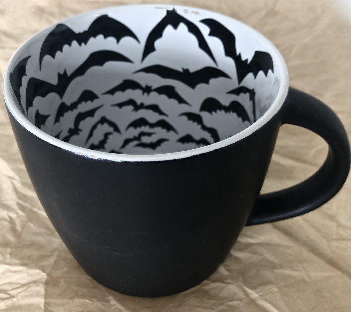 Interior Bat Flight Soup Mug - Product Image
