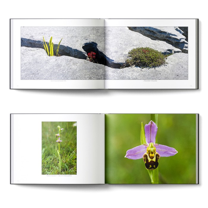 Burren: Land of Limestone