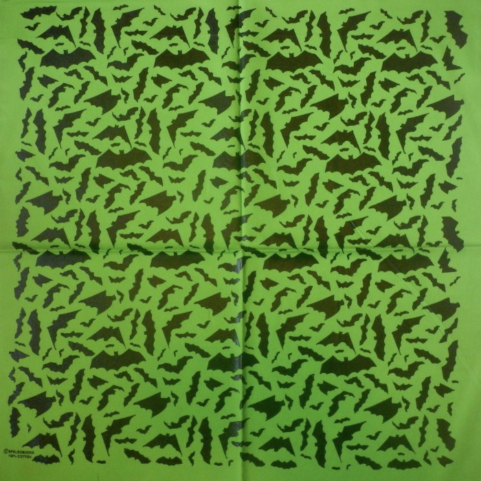 LimeGreenBandanna