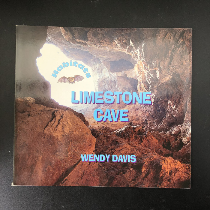 Limestone Cave