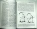 Mayacon 2012, Greenbrier Valley, West Virginia. A Guidebook for the 69th NSS National Convention - OUT OF STOCK
