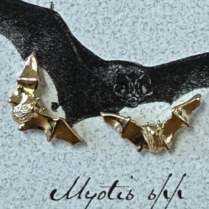 Myotis Gold Plate 5/8 Inch Stud Earrings - Product Image