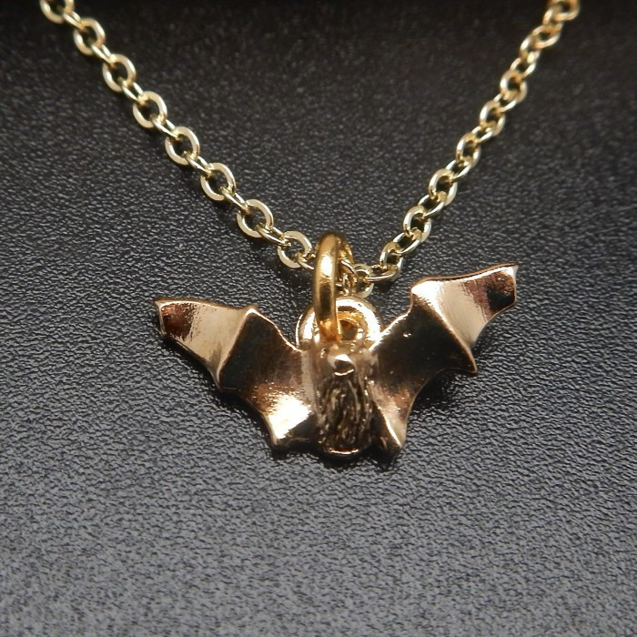 Myotis Gold Plate Necklace - Product Image
