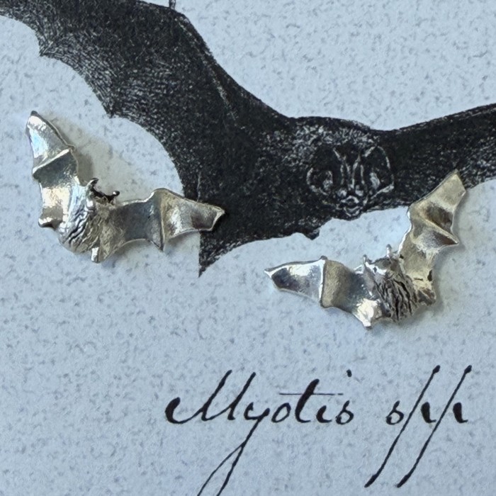 Myotis Silver Plate 5/8 Inch Stud Earrings - Product Image