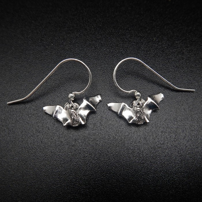 Myotis Silver Plate Earrings - Product Image