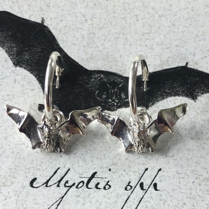 Myotis Silver Plate Hoop Earrings - Product Image