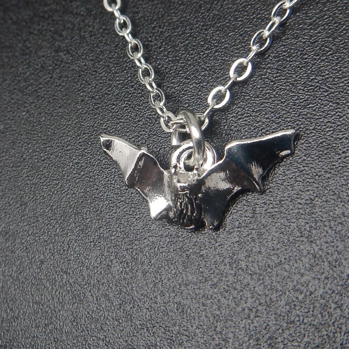Myotis Silver Plate Necklace - Product Image