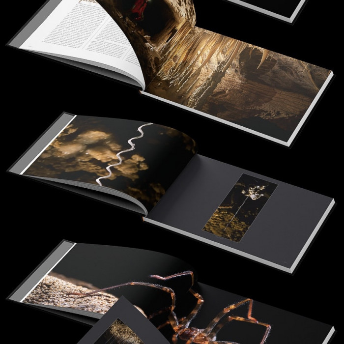 New Zealand Karst  A voyage across limestone landscapes into the subterranean realm of caves
