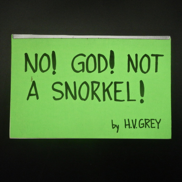 No! God! Not a Snorkel!