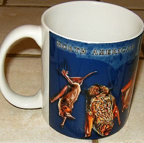 North American Bats Mug - Product Image
