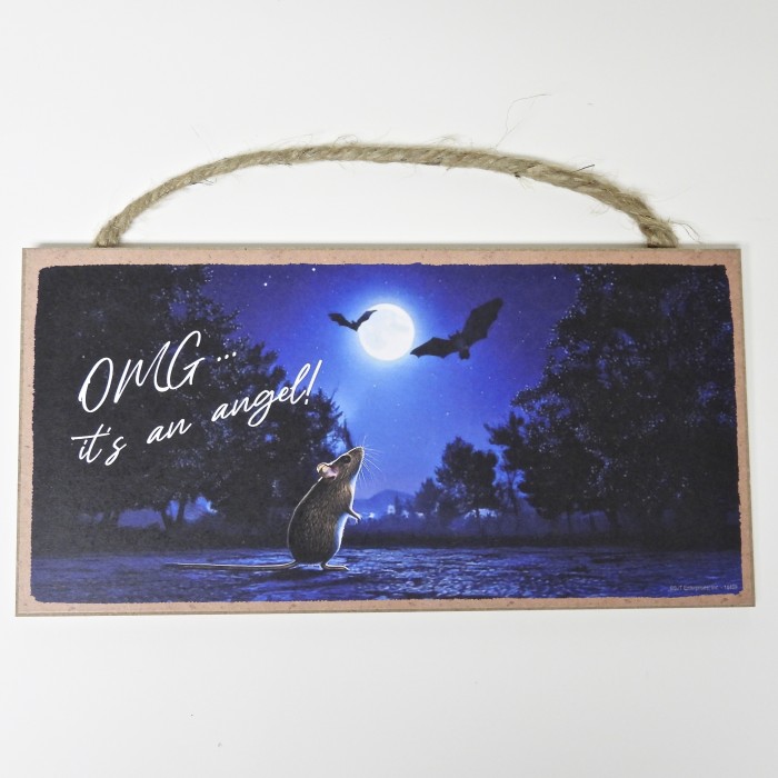 OMG...itsanangel5X10WoodSign
